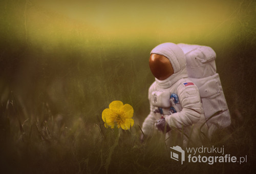 fotografia została wykonana w ogródku przy pomocy postaci kosmonauty wielkości 5cm.