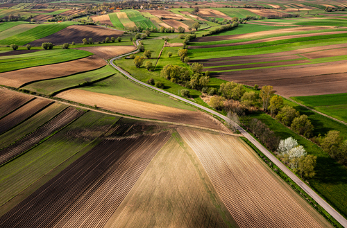 Wiosenny poranek z widokiem z drona na krętą drogę w okolicach wsi Czarnocin na Ponidziu, Polska.