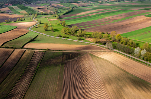 Wiosenny poranek z widokiem na krętą drogę z drona w okolicach wsi Czarnocin na Ponidziu, Polska.