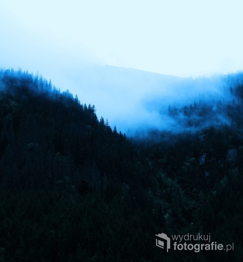 Fotografia zrobiona dwa lata temu w deszczowy i mglisty poranek w Polskich Tatrach.
