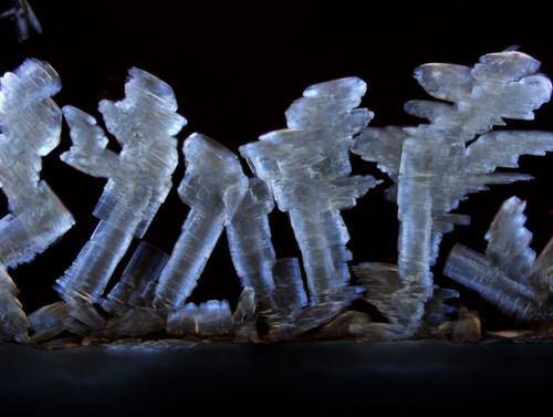 Kryształy kwasu solnego w powiększeniu mikroskopowym