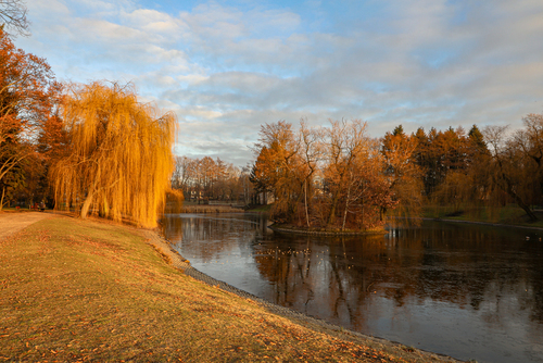Park miejski w Łodzi na terenie dzielnicy Widzew. Zdjęcia choć przedstawia jesień zostało wykonane zimą (2020-01-03).