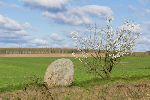Wiosenny krajobraz Podlasia