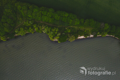Linia brzegowa jeziora goczałkowickiego widziana z drona.