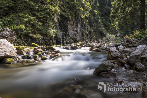 Potok w Dolinie Kościeliskiej w Polskich Tatrach. Zdjęcie zrobione tuż przed wejściem  na szlak do Jaskini Mylnej.