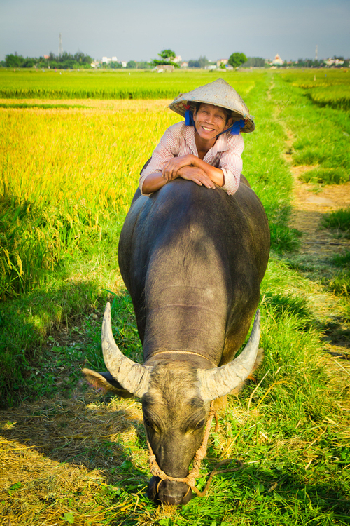 Zdjęcie zrobione w jednej z wietnamskich wiosek, Mężczyzna widoczny na zdjęciu, tylko czekał, aż koleś z plecakiem i aparatem spojrzy w jego kierunku i za niewielką opłatą będzie mógł zrobić fotkę :)