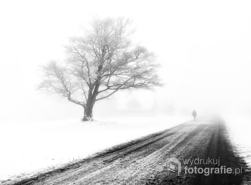 Zdjęcie zostało wykonane w Beskidzie Śląskim podczas spaceru w bardzo mgliste, zimowe popołudnie. Jako sztafaż- moja mama...