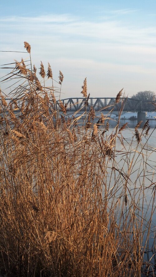 Zdjęcie zrobione w grudniu 2021 roku w okolicach Mostów Warszawskich we Wrocławiu.