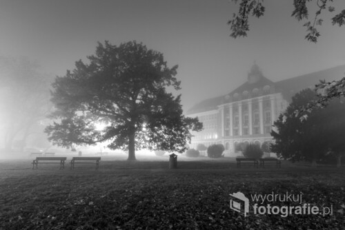 Spacer we mgle - Skwer Orląt Lwowskich w Legnicy z widokiem na Kurię Biskupią B&W