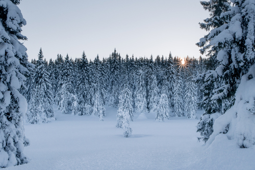 Zimowy krajobraz w Norwegii