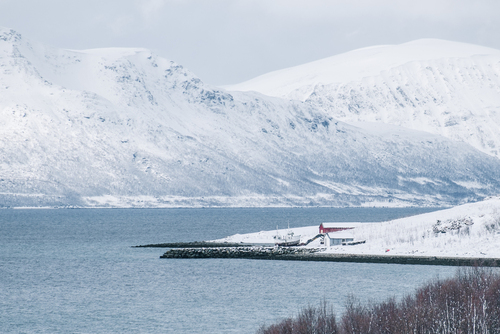 Norweskie fiordy zimą i drewniana chatka na brzegu