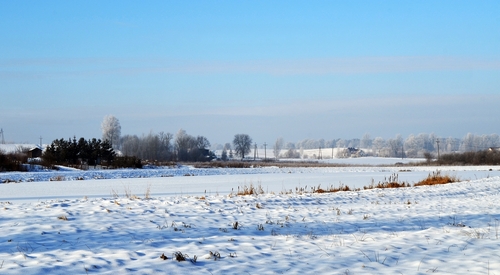 zdjęcie wykonano w bardzo mroźny dzień na Warmińskiej wsi widok na pola.