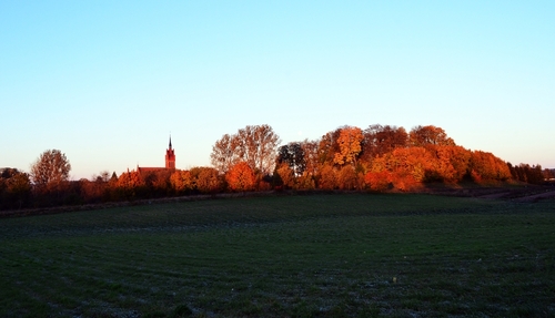 krajobraz jesienny  ,przebarwione drzewa oświetlone porannym słońcem 