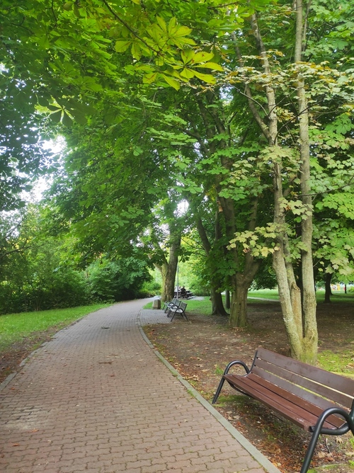 Park w Warszawie zdjęcie wykonano podczas spaceru smartphone 