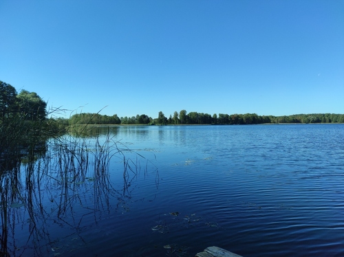 Jezioro Tejstymskie na Warmii latem 
