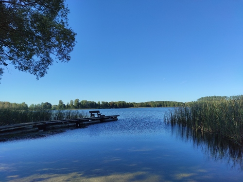 Zdjęcie jeziora Tejstymskiego we wsi Biesowo na Warmii 