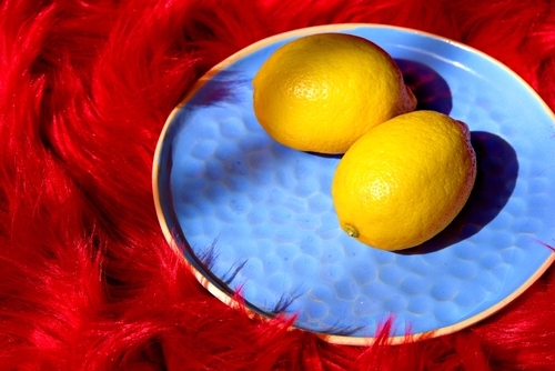 Dwie cytryny na niebieskim talerzu w tle czerwone futro -kontrastowe kolory 