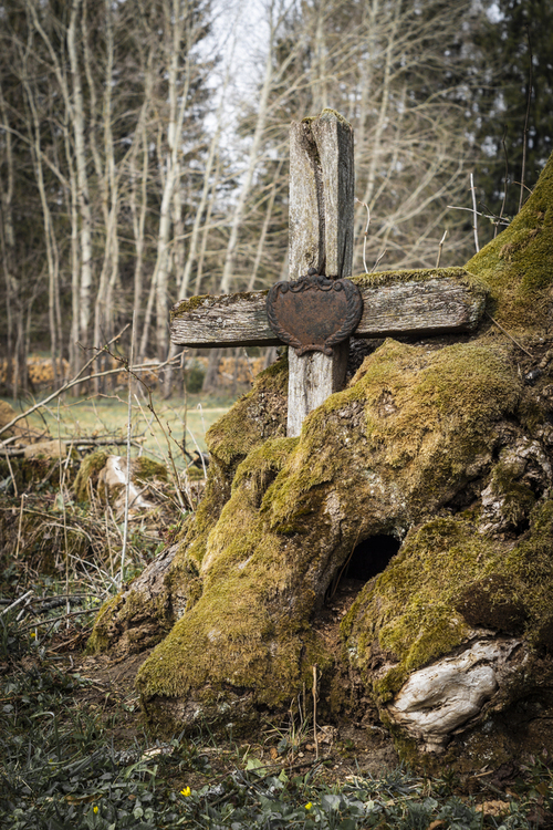Bieszczady - Legendarny, bardzo stary krzyż trwający w uścisku drzewa. Krzyż znajdował się na cmentarzu grekokatolickim w Łupkowie i był jednym z dwóch symboli tego miejsca. Niestety krzyża już nie ma...