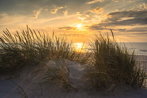 Poczuj lekką bryzę od morza i ciepłe promienie zachodzącego słońca...
Impresjonistyczne wybrzeże Bałtyku o złotej godzinie. 