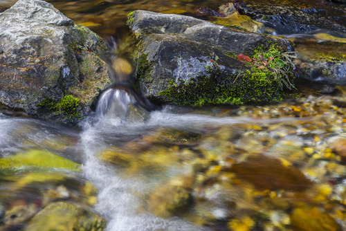 Koloryt górskich strumieni jest fascynujący. Rozmyta, za sprawą długiej ekspozycji, woda i to, co w sobie kryje. Właśnie to sprawia, że fotografia strumieni jest tak urocza. Na zdjęciu potok w miejscowości Międzygórze w Sudetach.