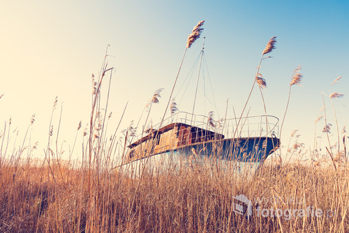 The wreck of a small ship, abandoned on the shore of the lake.