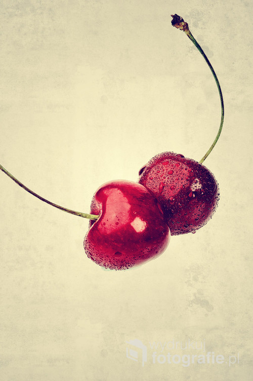 Two wet cherrys on vintage background.