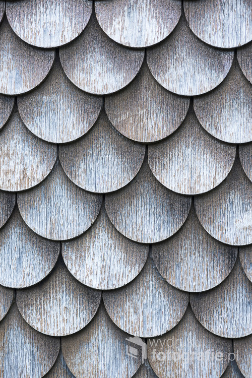 The wall covered with wooden shingles - wooden background. 