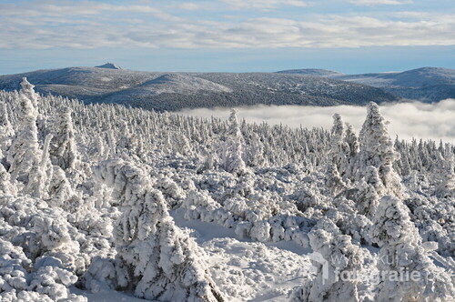 Fotografia przedstawia główne pasmo Karkonoszy  w zimowej scenerii.