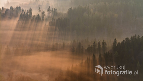 Mglisty poranek w Rudawach Janowickich. Promienie wschodzącego słońca przedzierające się przez mgłę utworzyły wspaniałe lasery.