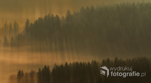 Mglisty poranek w Rudawach Janowickich. Promienie wschodzącego słońca przedzierające się przez mgłę utworzyły wspaniałe lasery.
