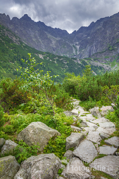 Tatra mountains in Poland. Mountain trail lined with stones.