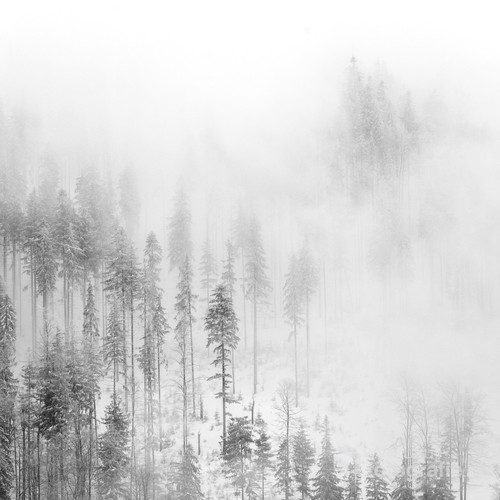 Fotografia wykonana zimą 2012 roku w okolicy Brennej w Beskidzie Śląskim