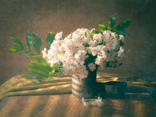 Still life with bouquet white summer carnation flower