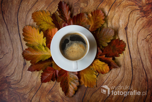 Kawa  na jesiennych listkach