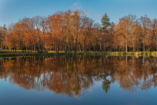 Fotografia wykonana w Białostockim Parku w Dolidach