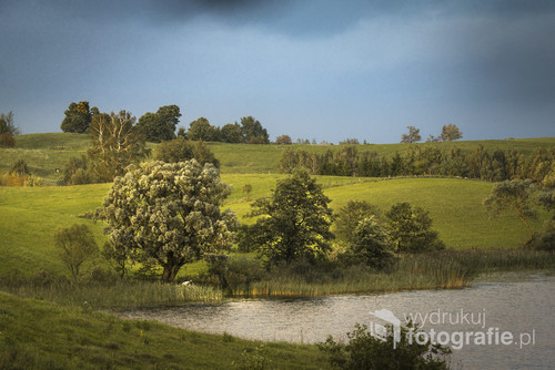 Zdjęcie wykonany późnym latem w Suwalskim parku Krajobrazowym