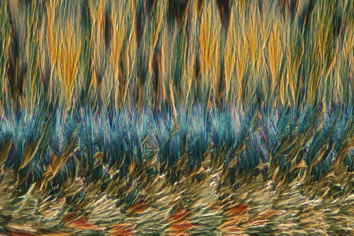 Fotografia przedstawia skrystalizowaną mieszaninę erytrytolu i rezorcyny. Zdjęcie wykonano przy użyciu mikroskopu, w świetle spolaryzowanym, w powiększeniu 200 X 