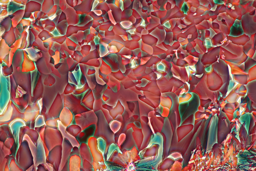 Fotografia przedstawia skrystalizowaną mieszaninę kwasu winowego i TRIS. Zdjęcie wykonano przy użyciu mikroskopu, w świetle spolaryzowanym, w powiększeniu 200 X 
