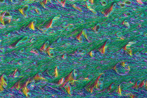 Fotografia przedstawia skrystalizowany środek na odciski. Zdjęcie wykonano przy użyciu mikroskopu, w świetle spolaryzowanym, w powiększeniu 100 X 