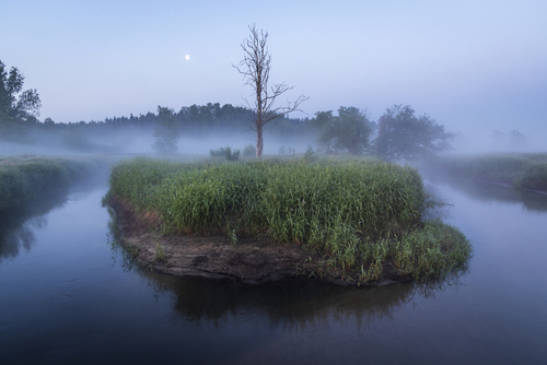 Mglisty poranek w dolinie rzeki Jeziorki.