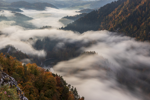 Widok na przełom Dunajca, w październikowy mglisty poranek. 