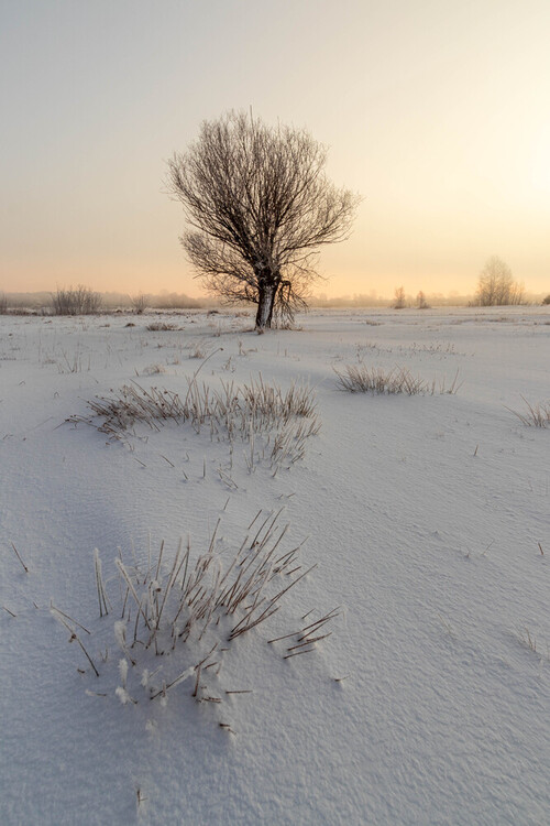 Zimowy poranek w dolinie rzeki Rządzy.