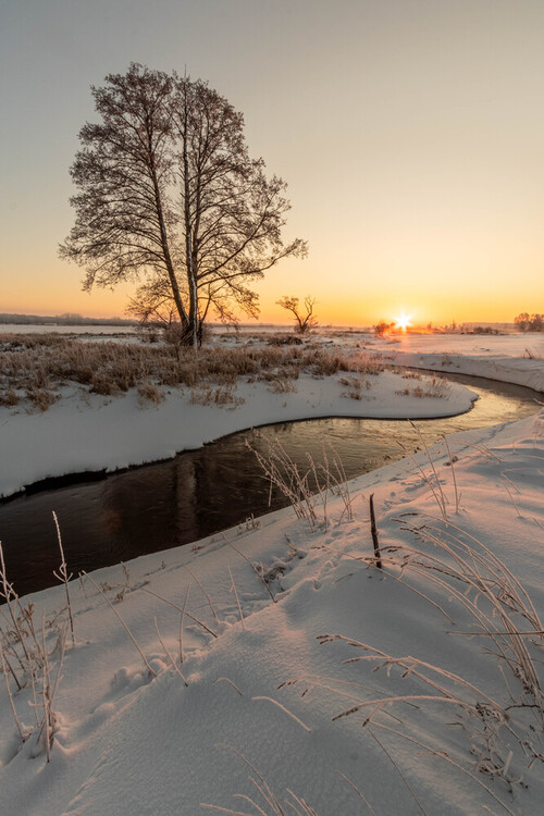Zimowy poranek nad rzeką Rządzą.
