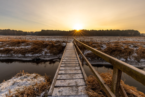 Styczniowy poranek nad rzeką Jeziorką.