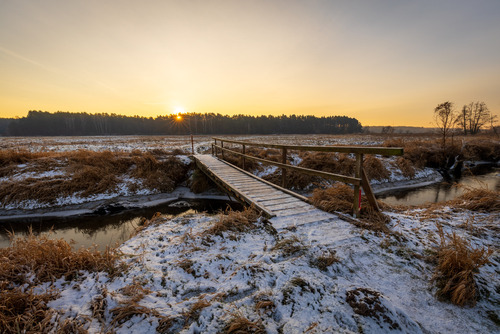 Styczniowy poranek nad rzeką Jeziorką.