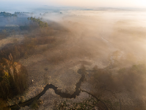 Rzeka Skrwa w wiosenny, mglisty poranek. Gostynińsko-Włocławski Park Krajobrazowy.
04.2025