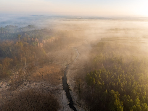 Rzeka Skrwa w wiosenny, mglisty poranek. Gostynińsko-Włocławski Park Krajobrazowy.
04.2025