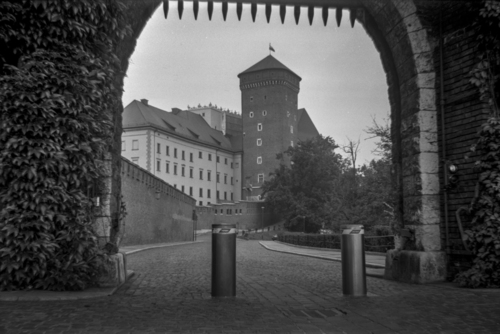 Fotografia przedstawia basztę zamku Królewskiego na Wawelu w Krakowie. Zdjęcie zostało wykonane aparatem analogowym średnioformatowym AGFA CLACK. Dzięki niedoskonałością optyki tego aparatu zdjęcie otrzymało niepowtarzalny charakter typowy dla fotografii okresu międzywojennego - styl RETRO.